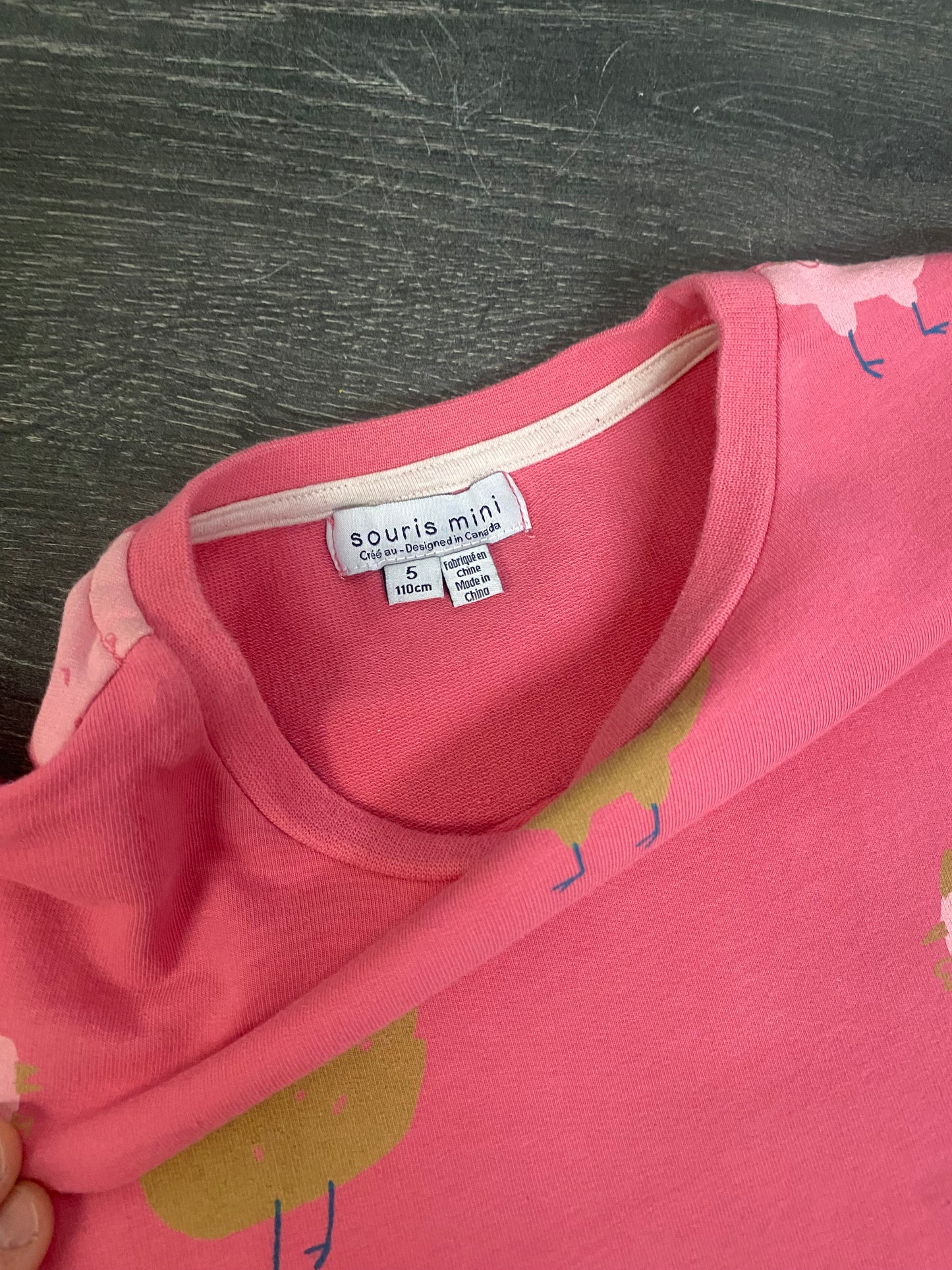 Friperie - tres bel etat - 5 ans - souris mini